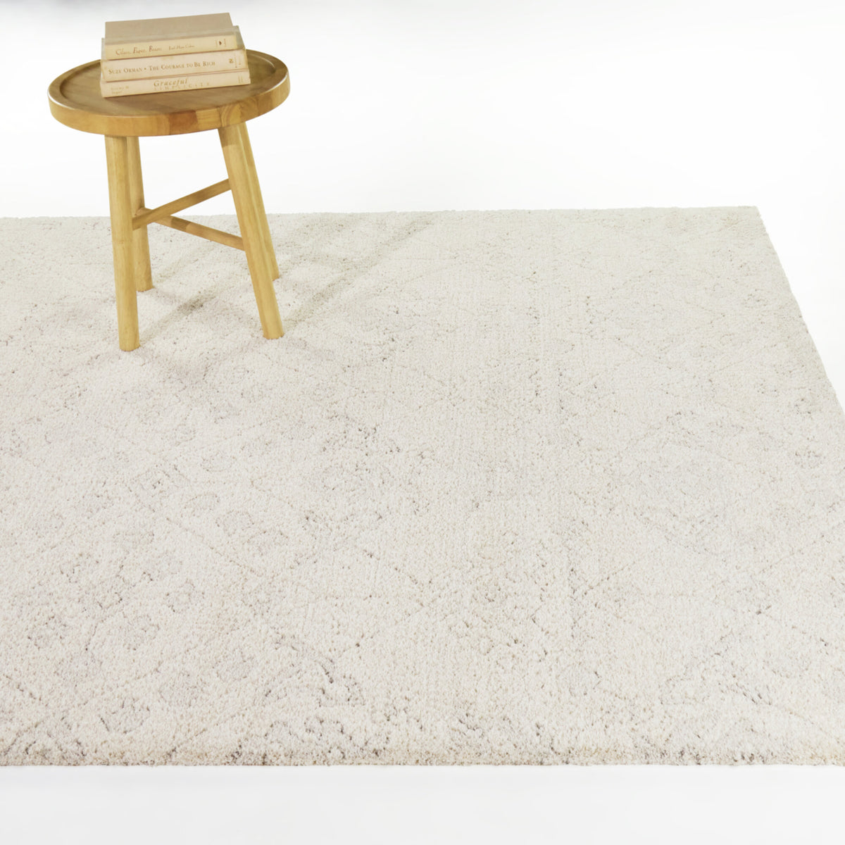 Pentheus Distressed Transitional  Area Rug