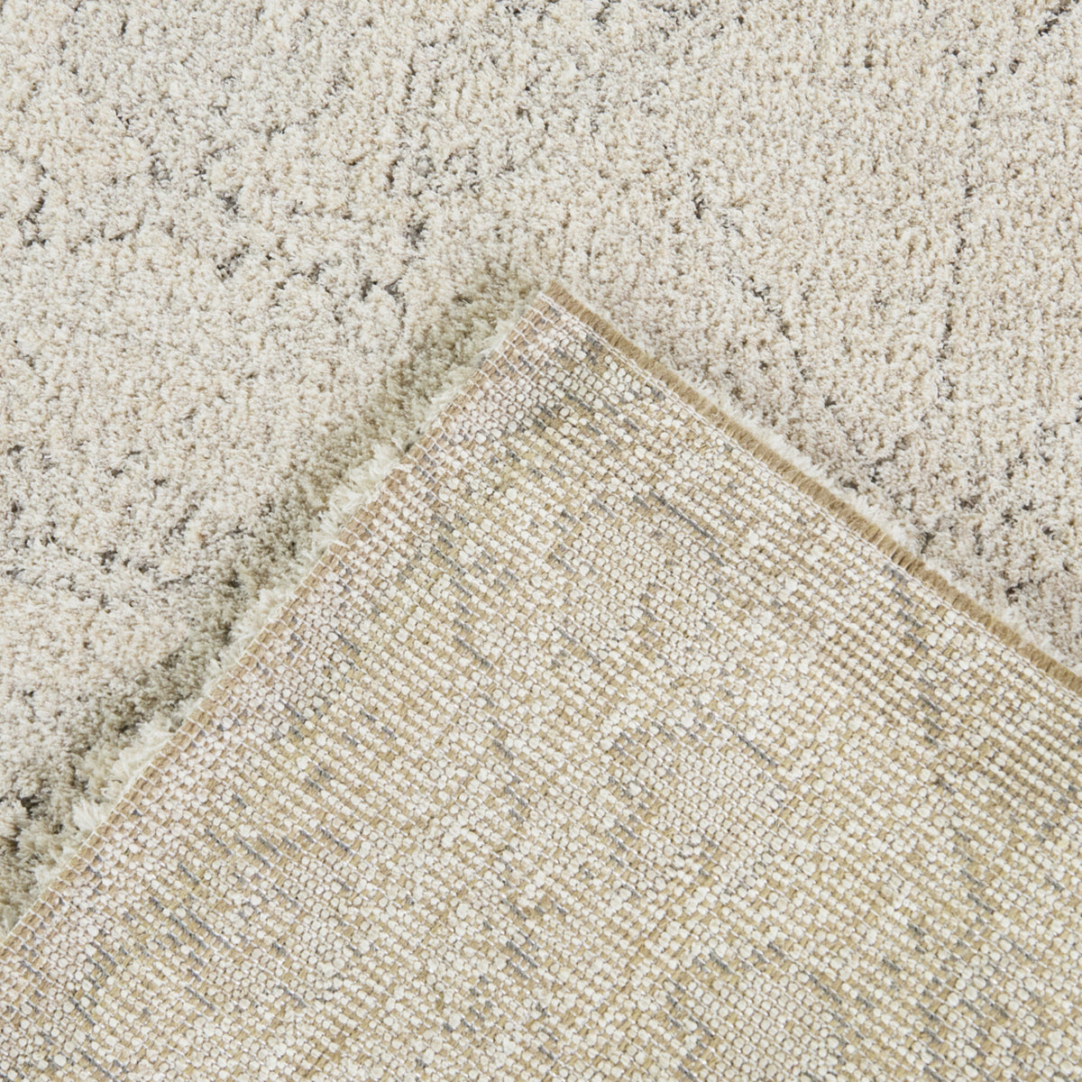 Pentheus Distressed Transitional  Area Rug