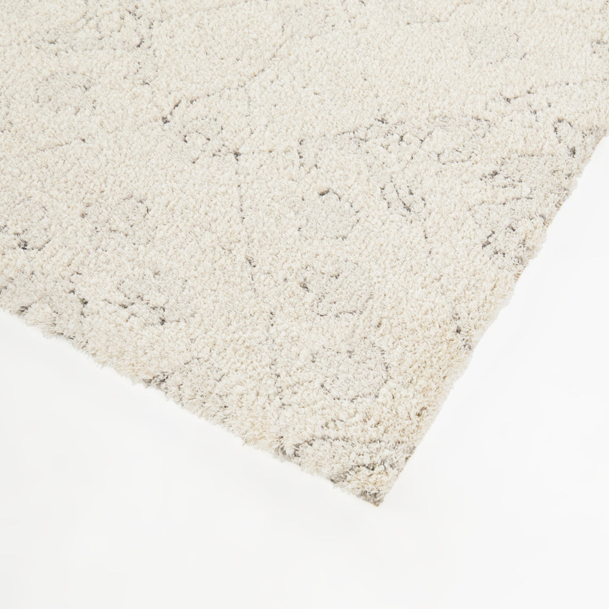 Pentheus Distressed Transitional  Area Rug