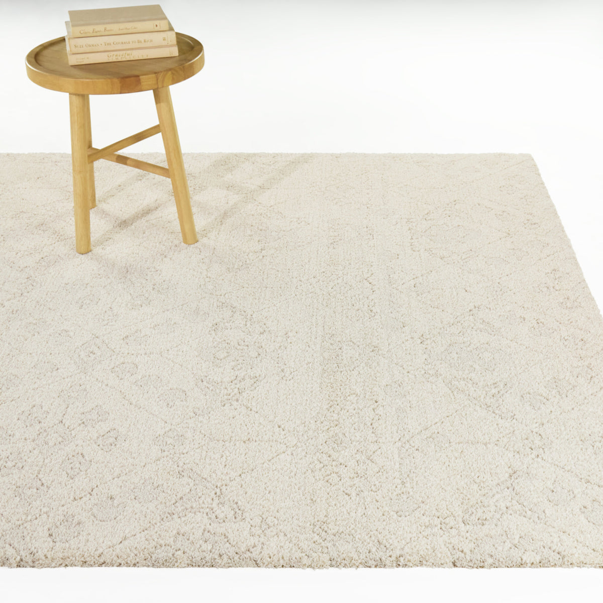 Pentheus Distressed Transitional  Area Rug