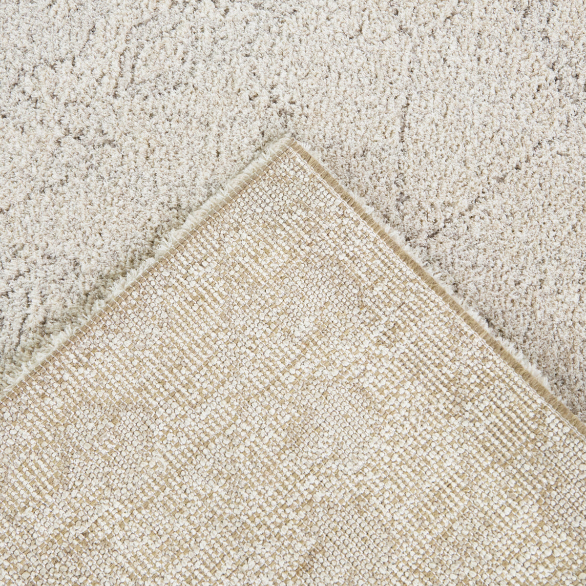 Pentheus Distressed Transitional  Area Rug