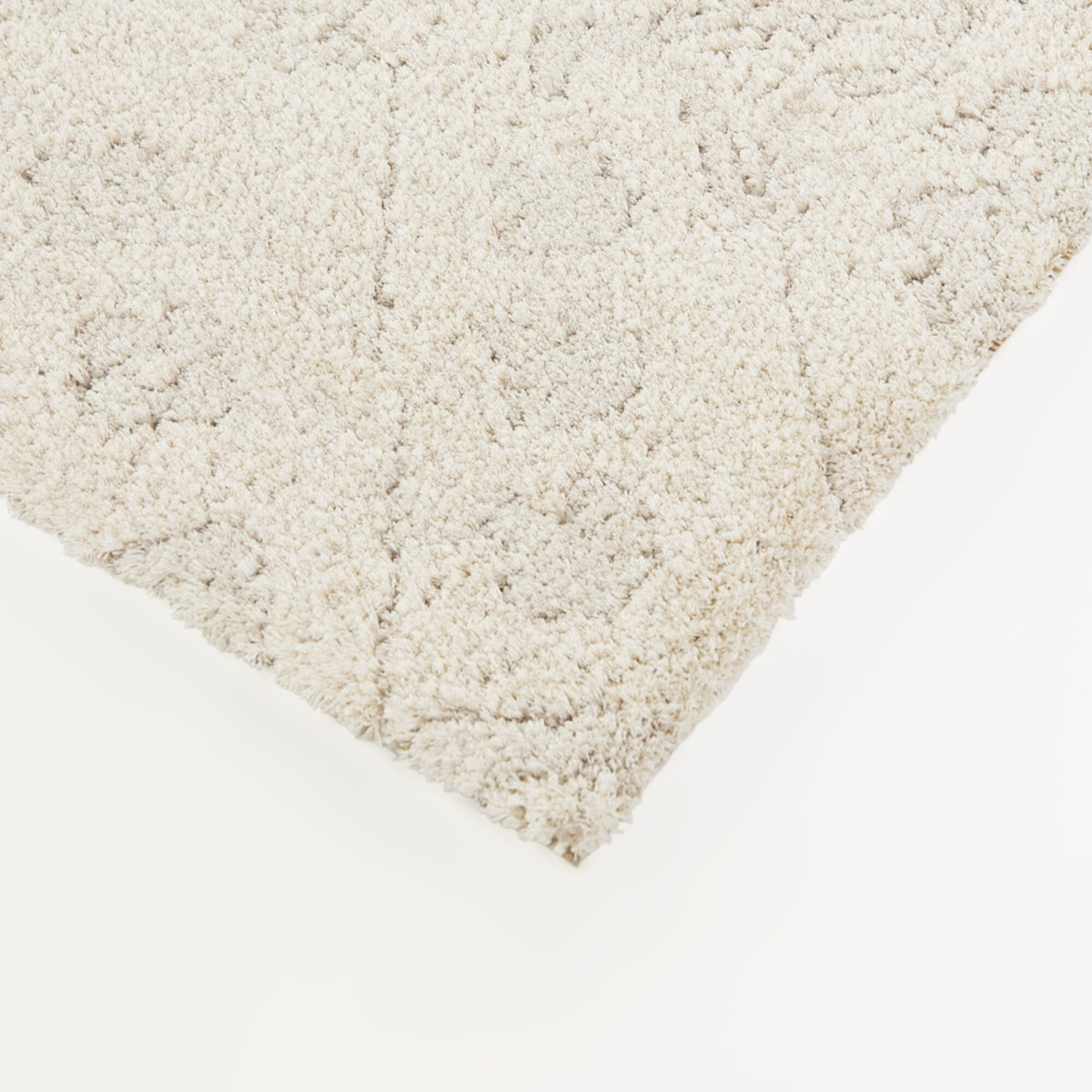 Pentheus Distressed Transitional  Area Rug