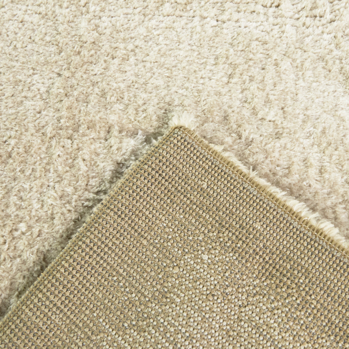 Alton Solid Border  Area Rug