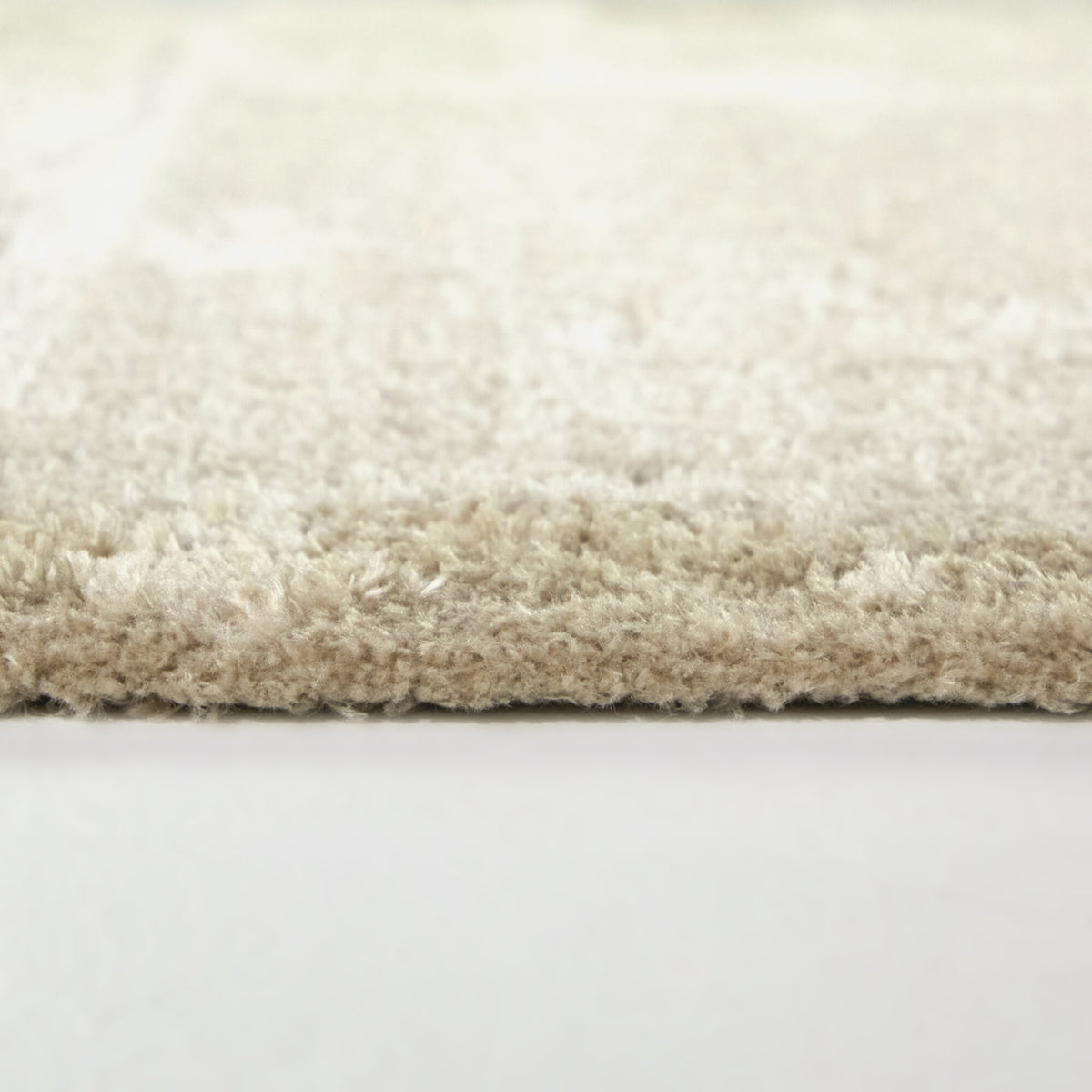 Alton Solid Border  Area Rug