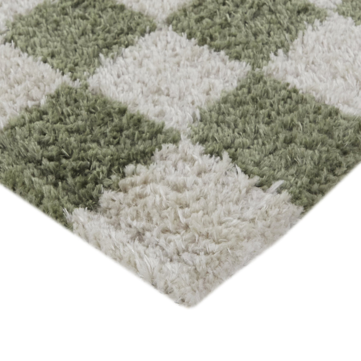 Havill Classic Checkered Area Rug