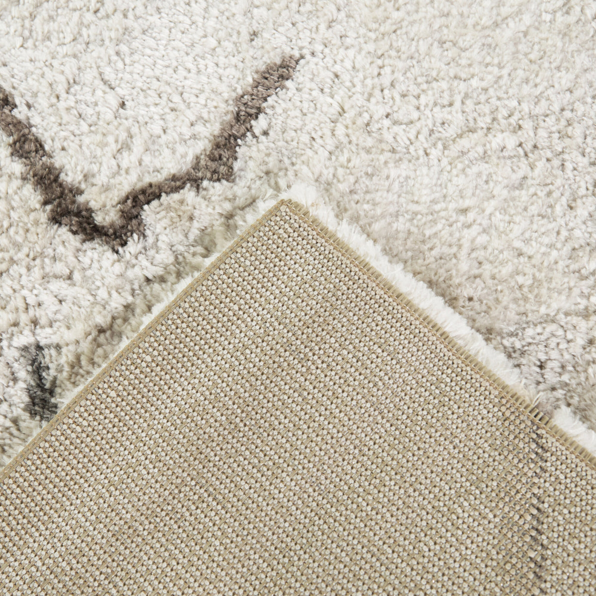 Evander Contemporary Area Rug