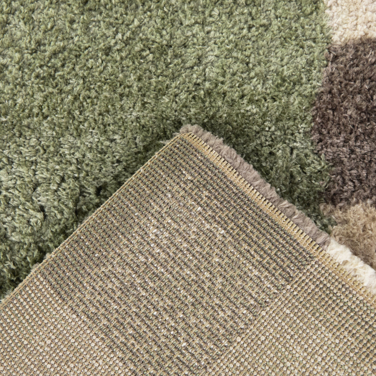 Franklin Transitional Area Rug