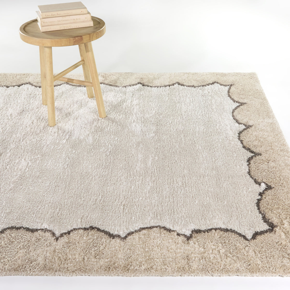Callahan Modern Border Area Rug