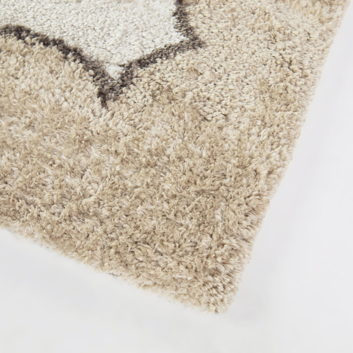 Callahan Modern Border Area Rug