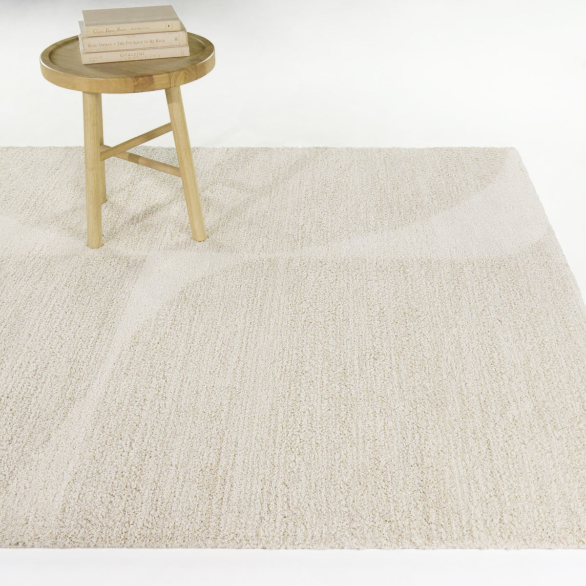 Bartel Organic Geometric  Area Rug