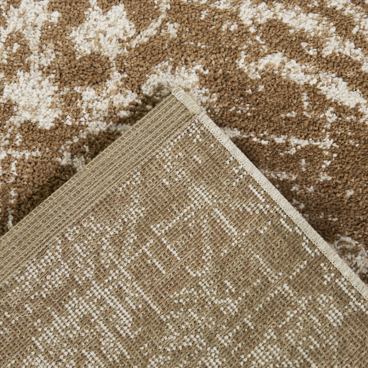 Harmonia Floral Transitional  Area Rug