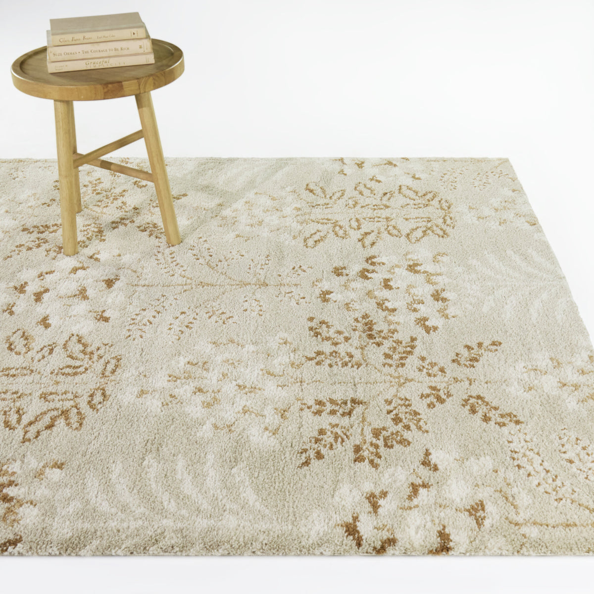 Harmonia Floral Transitional  Area Rug
