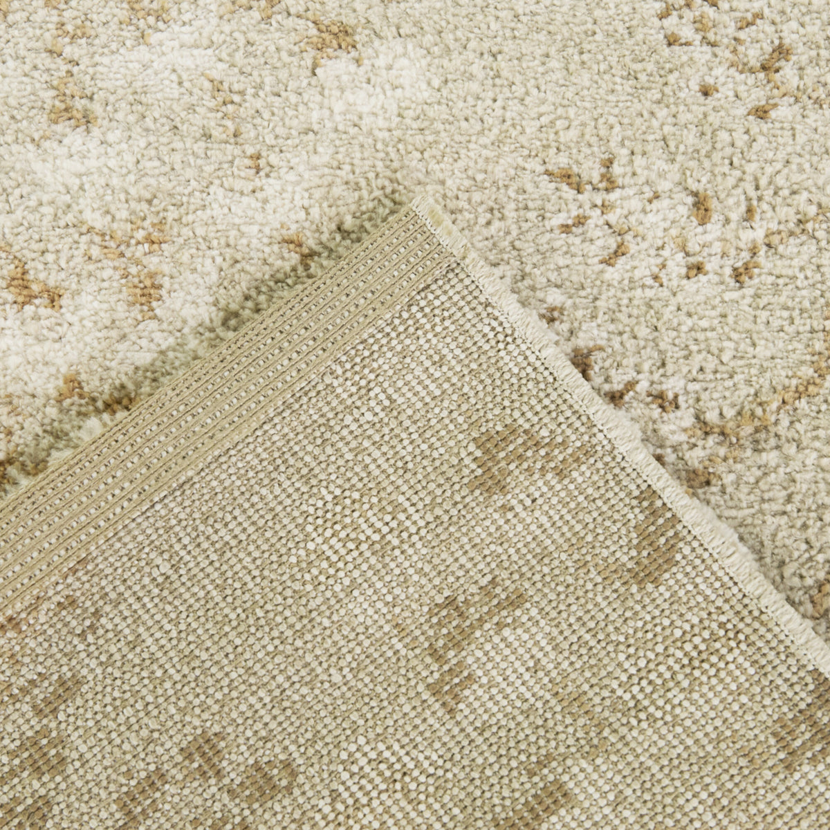 Harmonia Floral Transitional  Area Rug