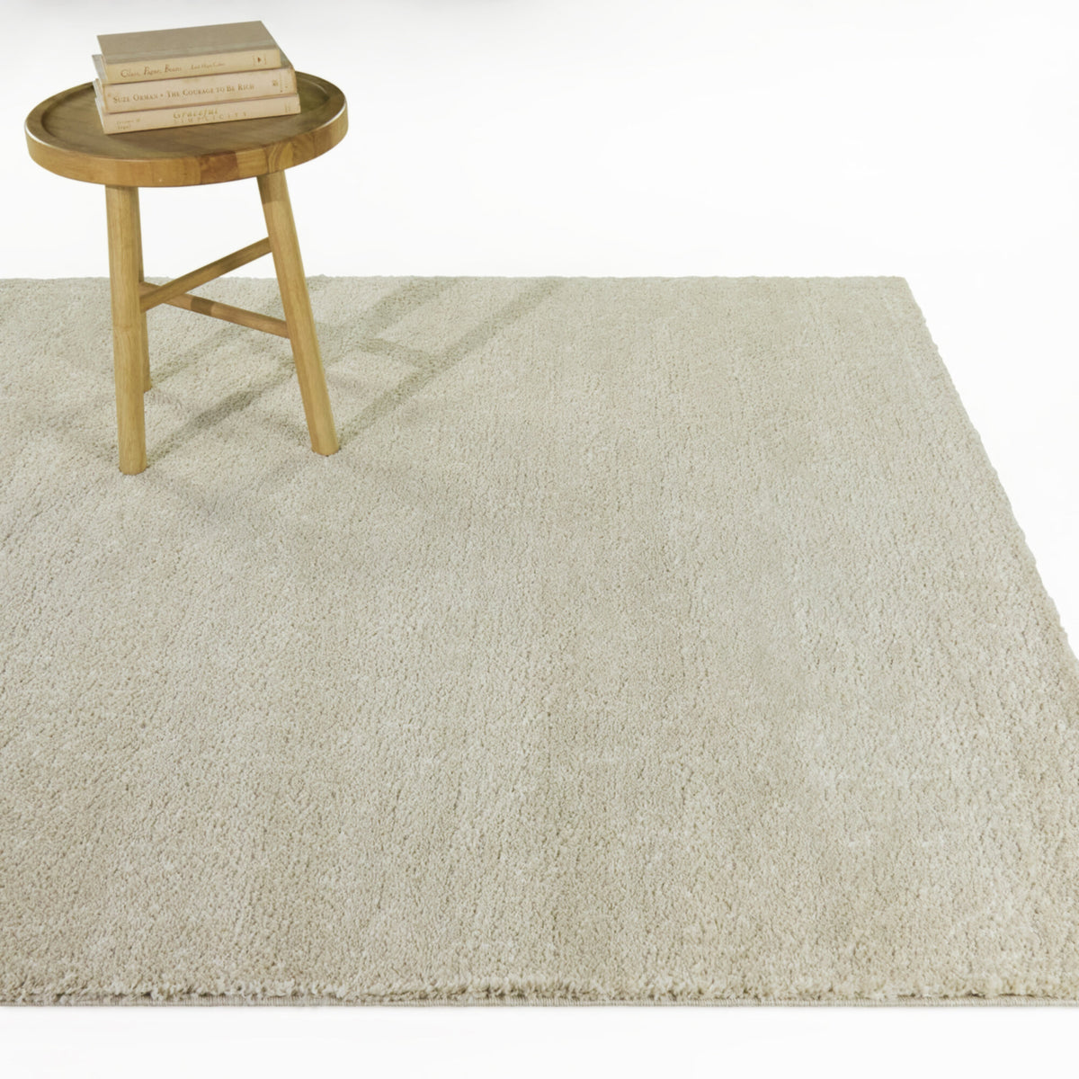 Barwick Minimalist Traditional  Area Rug