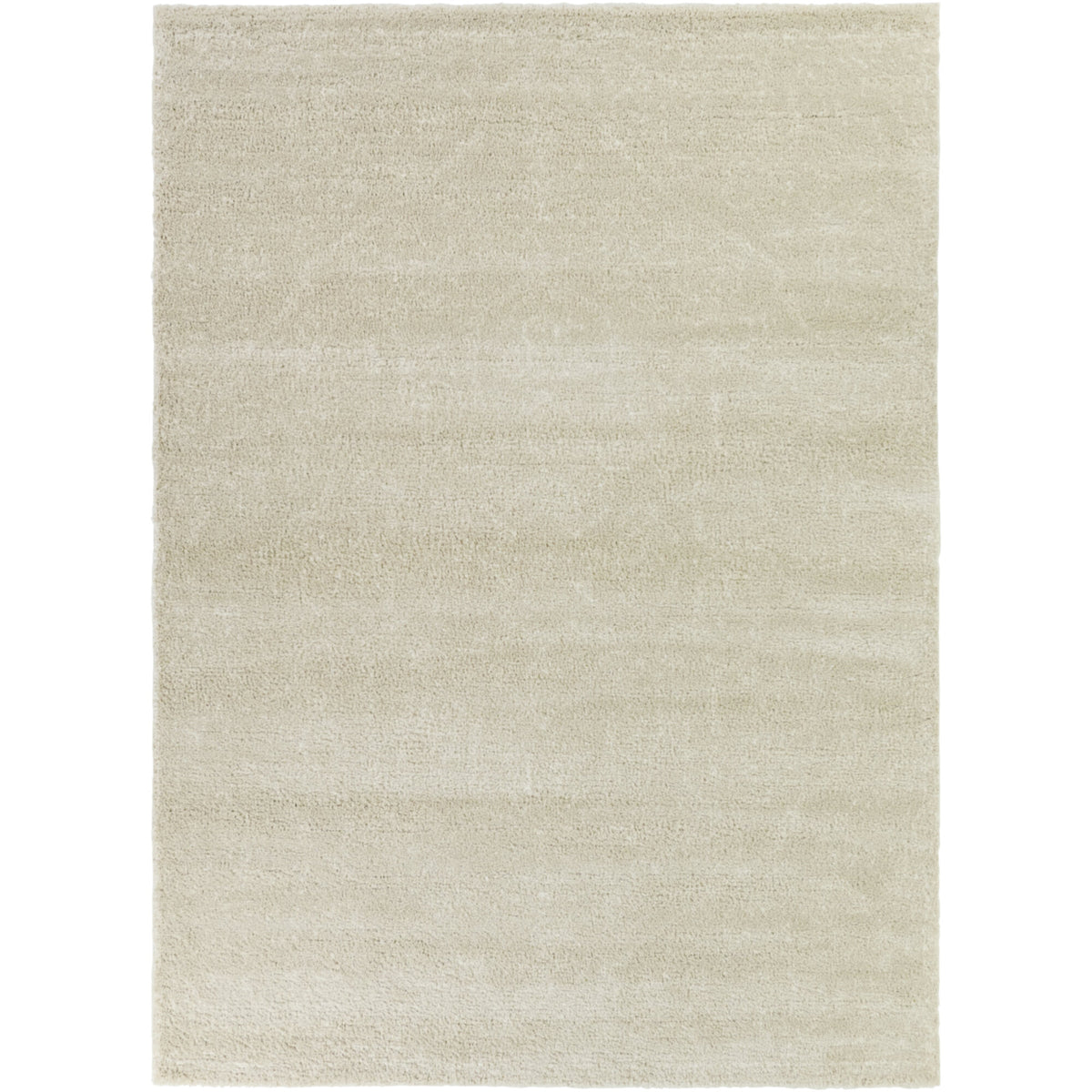 Barwick Minimalist Traditional  Area Rug