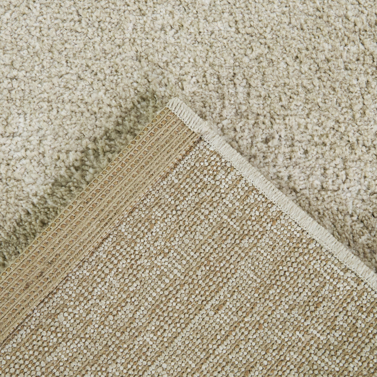 Barwick Minimalist Traditional  Area Rug