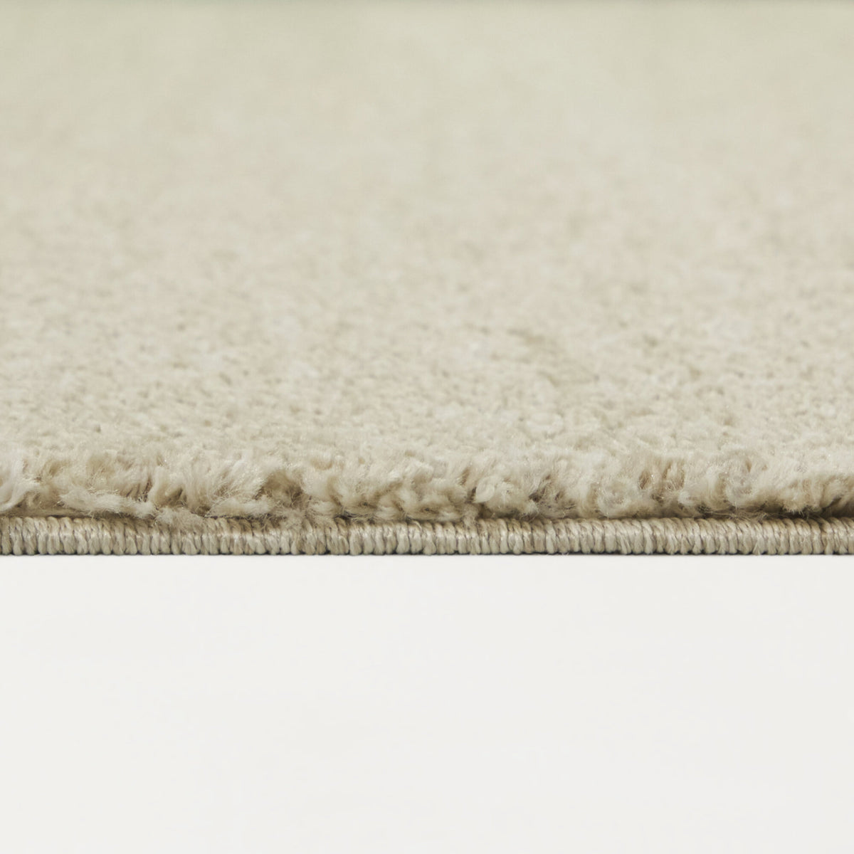 Barwick Minimalist Traditional  Area Rug