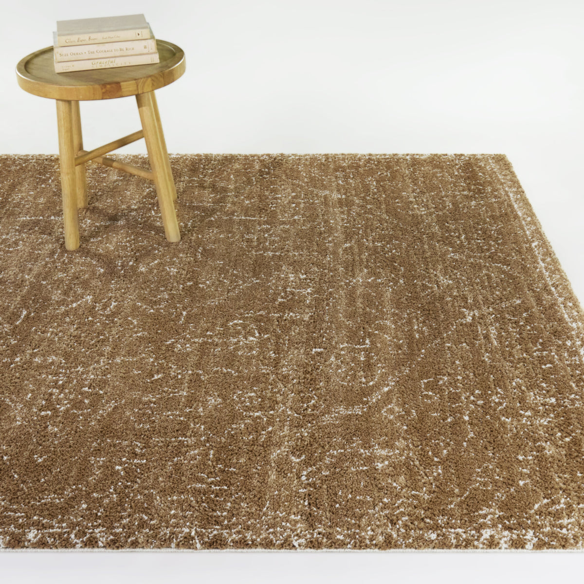 Barwick Minimalist Traditional  Area Rug