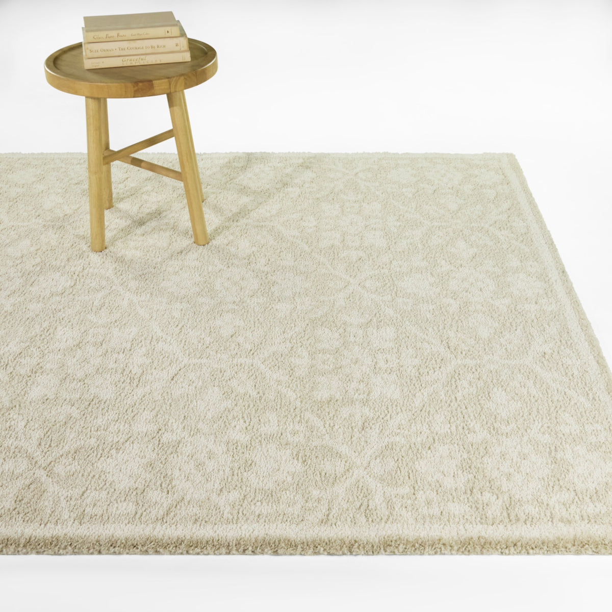 Wynn Minimalist Traditional  Area Rug