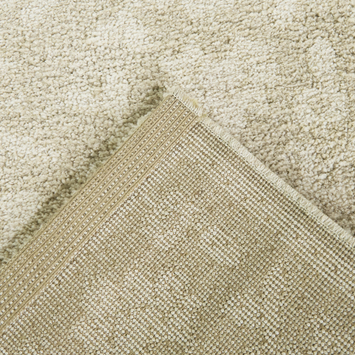 Wynn Minimalist Traditional  Area Rug