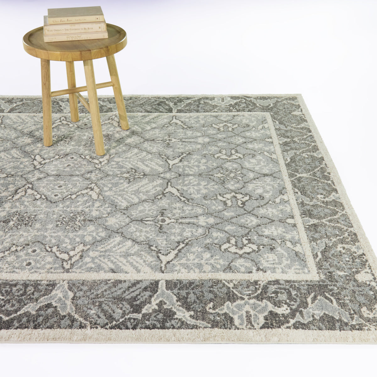 Catherine Traditional Border Area Rug