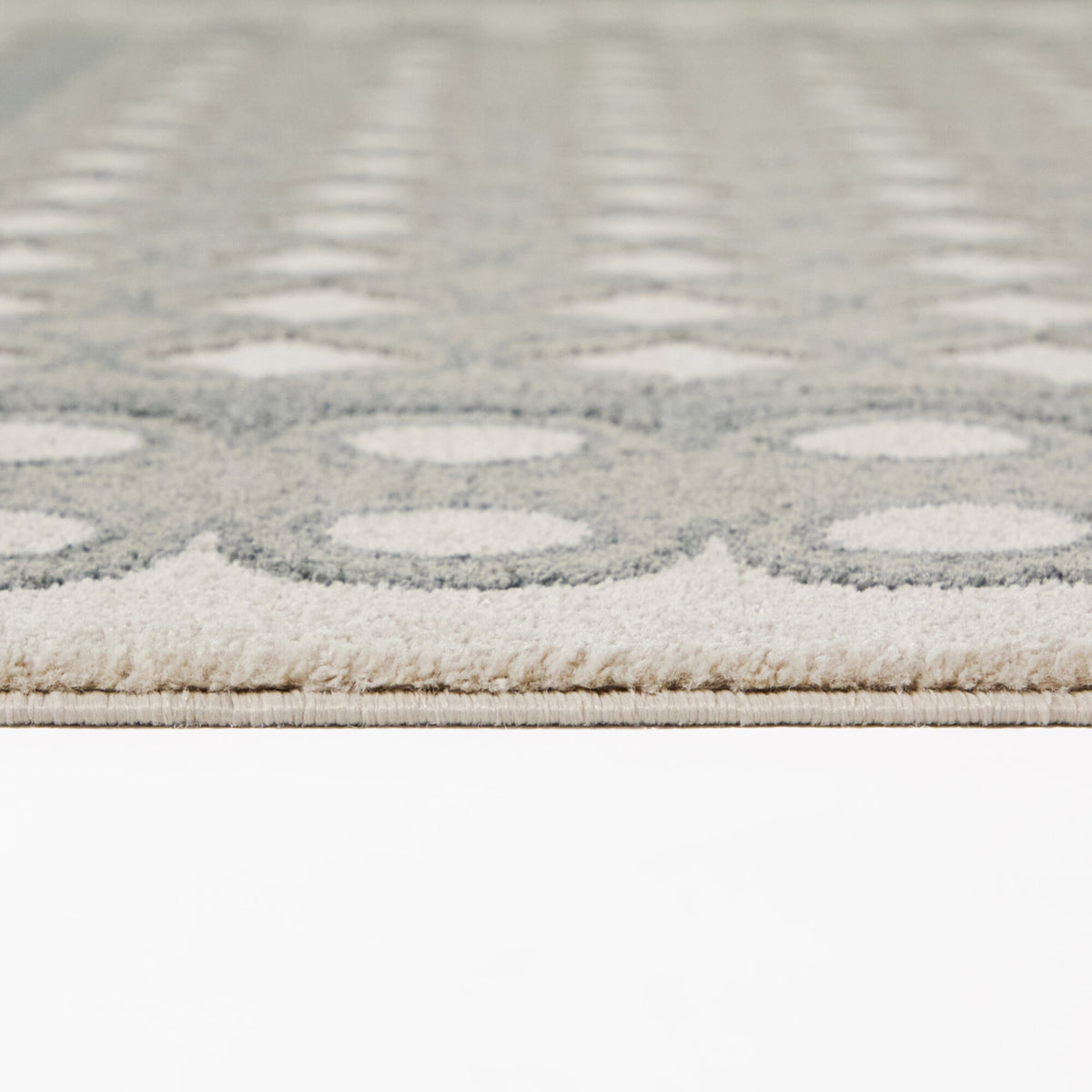 Wiltshire Transitional Border Area Rug