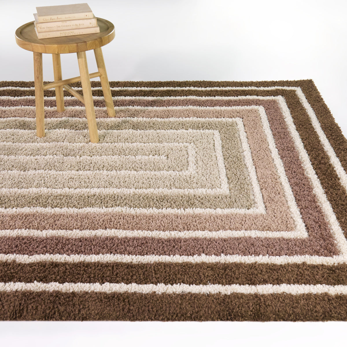 Jacinto Ombre Border Area Rug