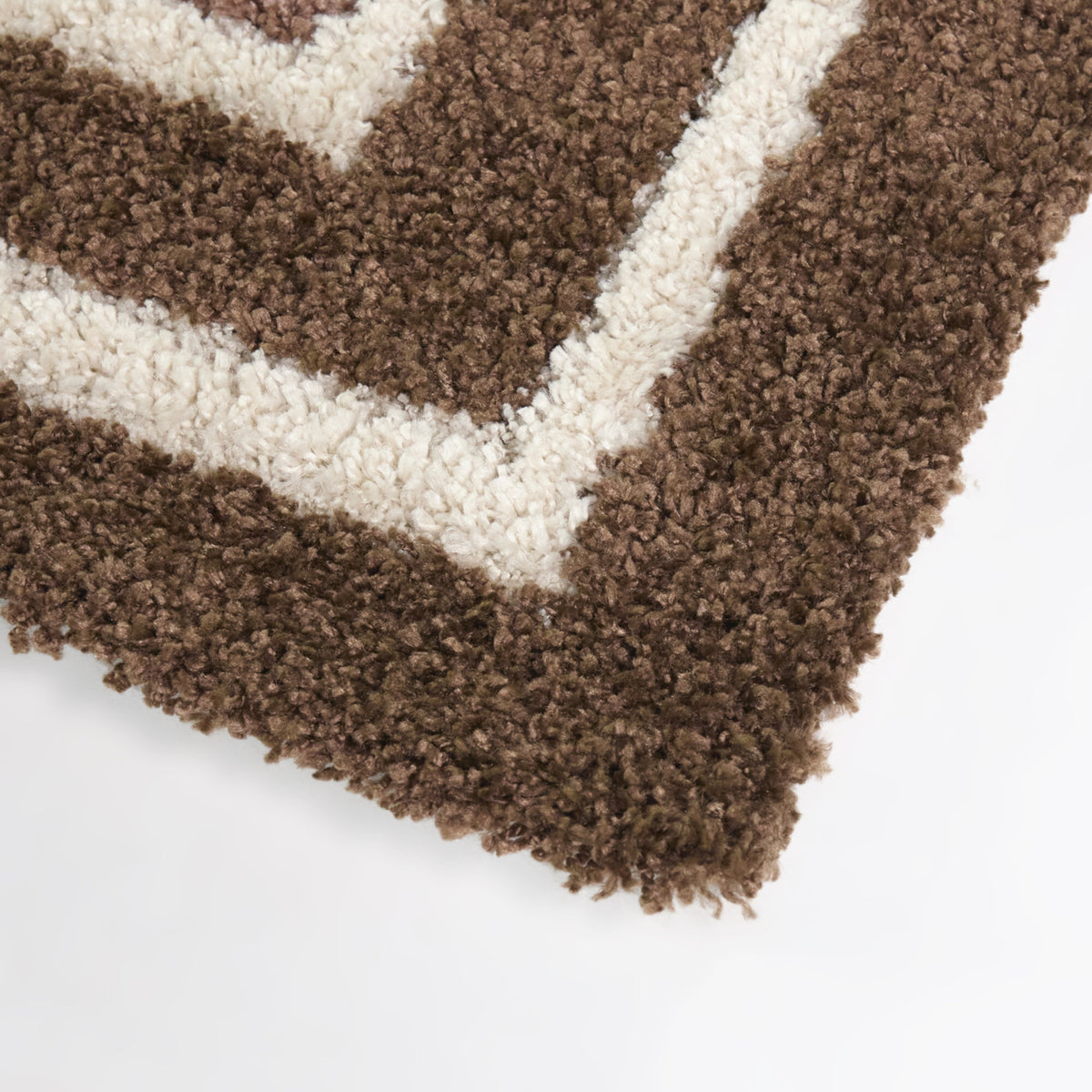 Jacinto Ombre Border Area Rug