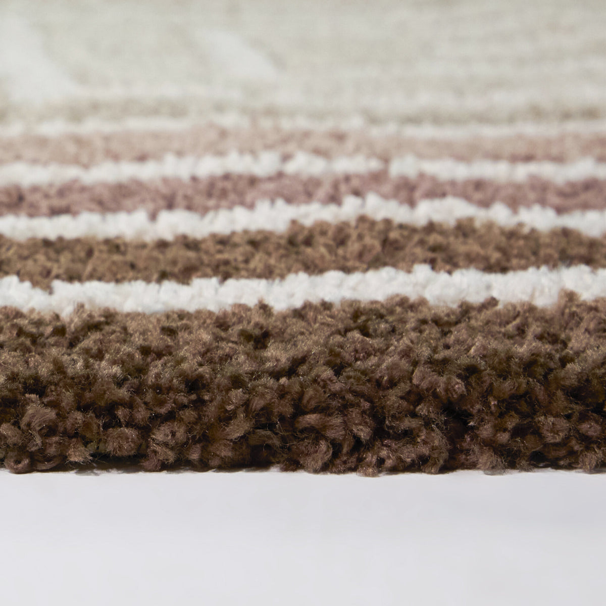 Jacinto Ombre Border Area Rug
