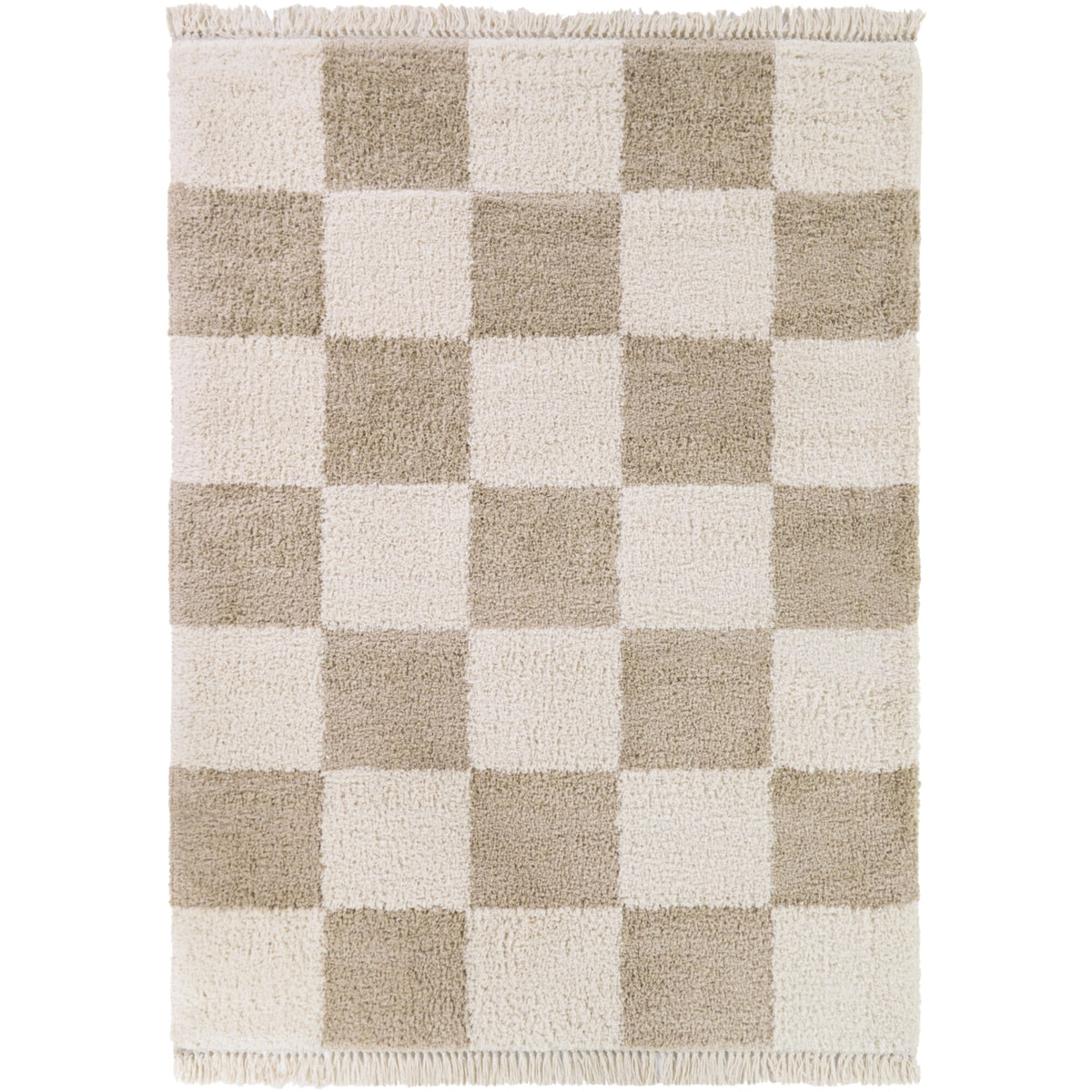 Bruno Checkered Shag Area Rug