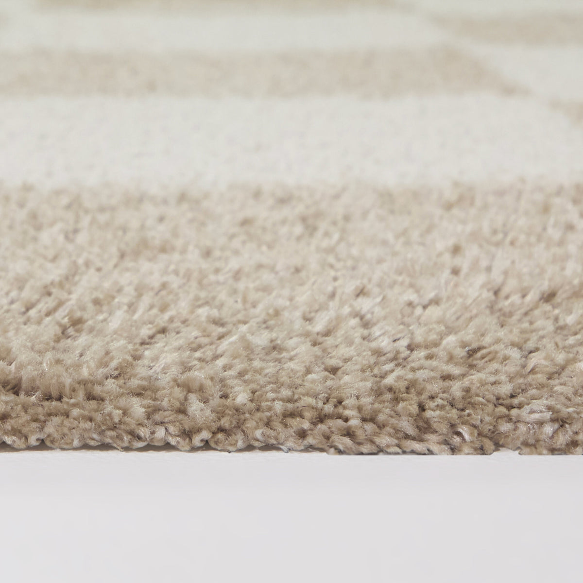 Bruno Checkered Shag Area Rug