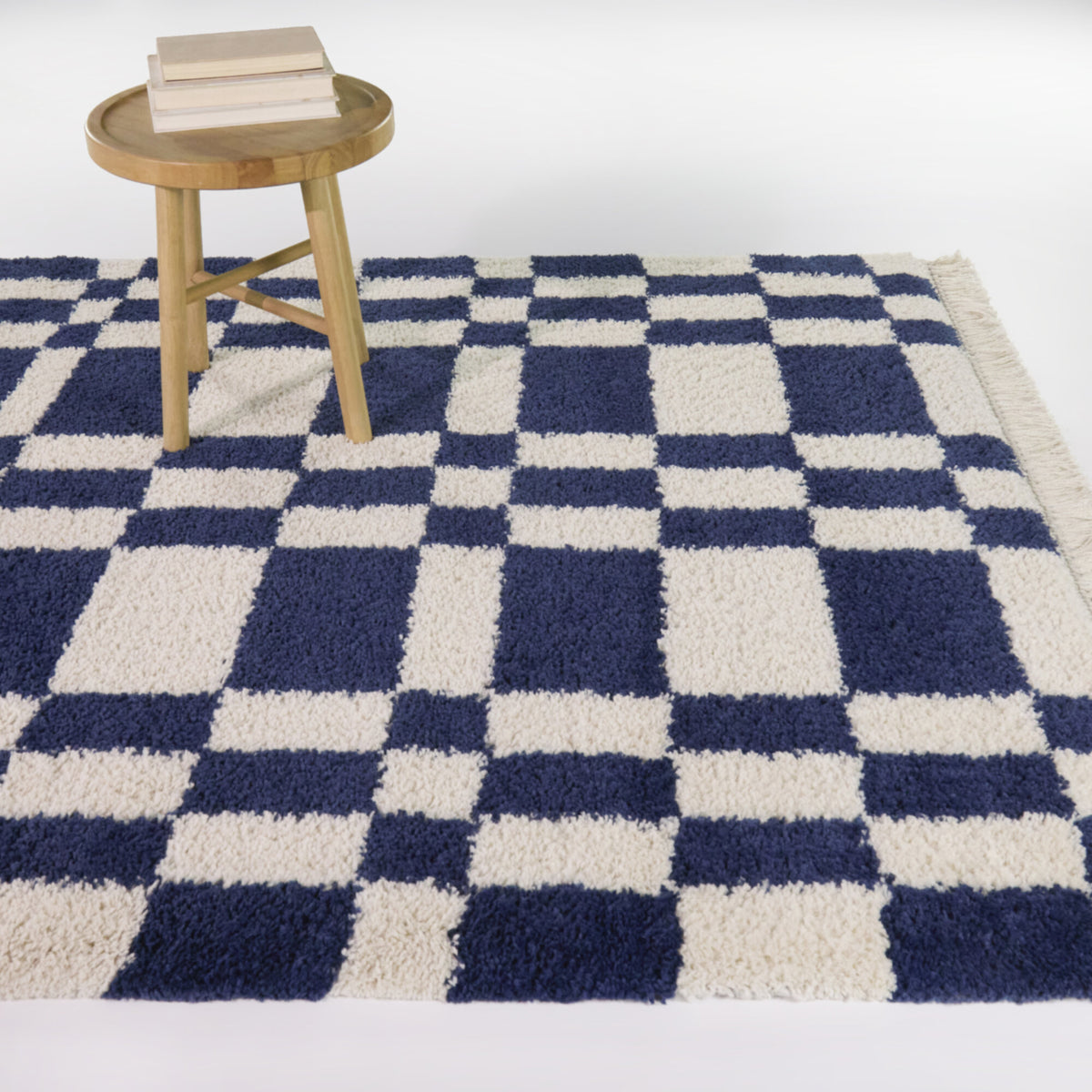 Barnabe Checkered Colorblock Area Rug