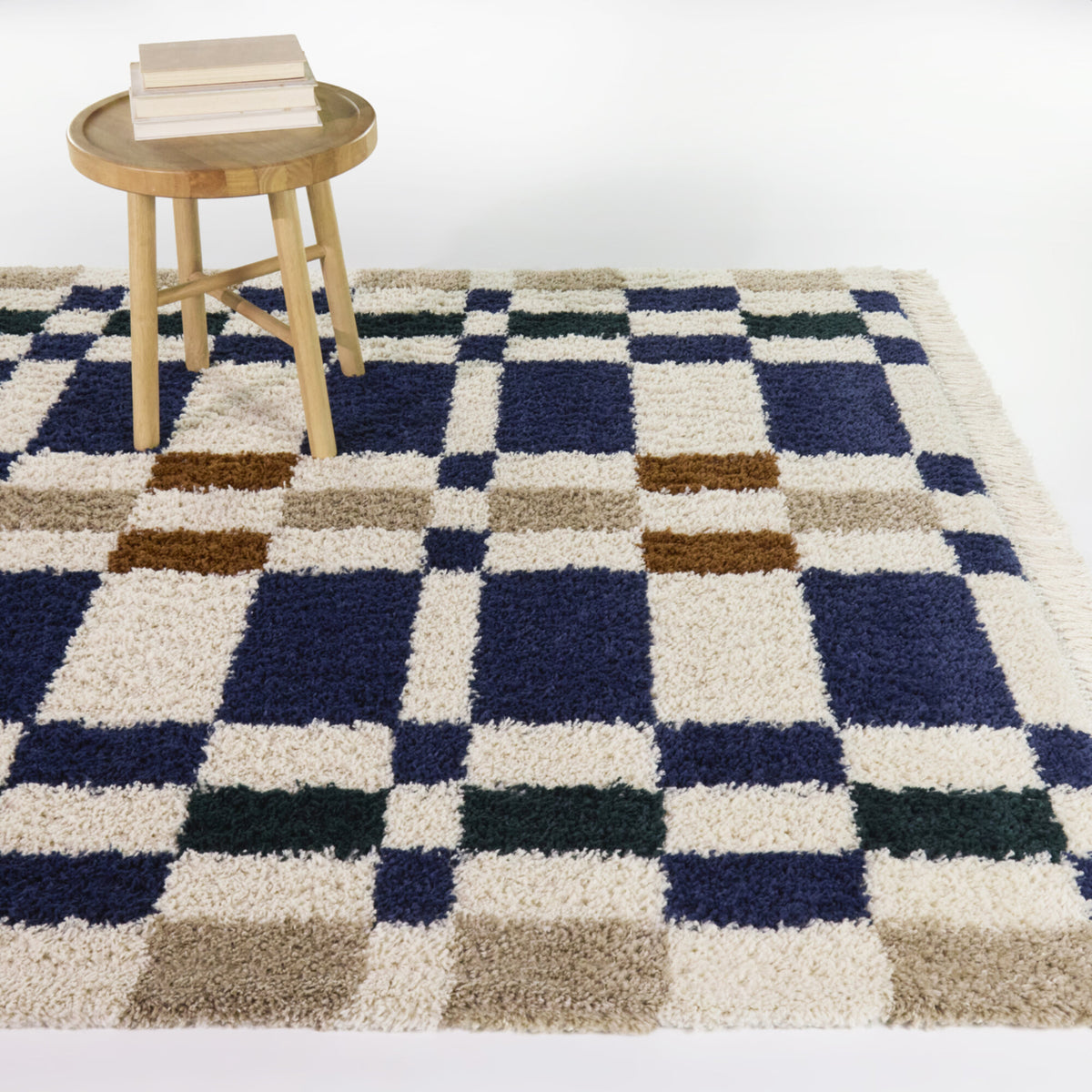 Barnabe Checkered Colorblock Area Rug