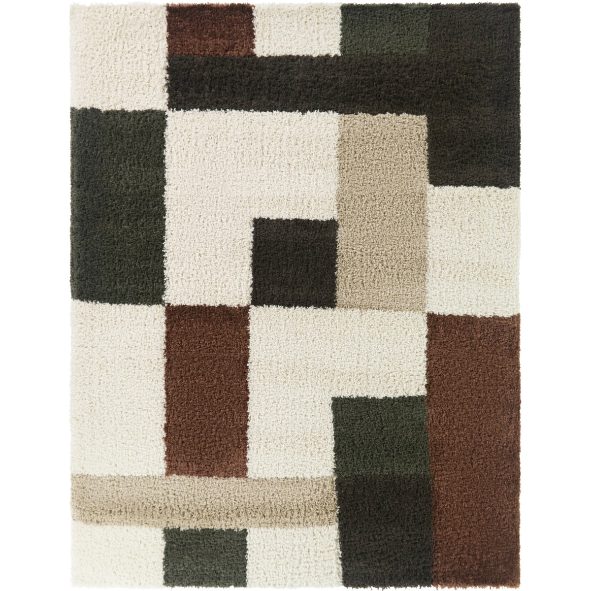 Color Block Shag Area Rug