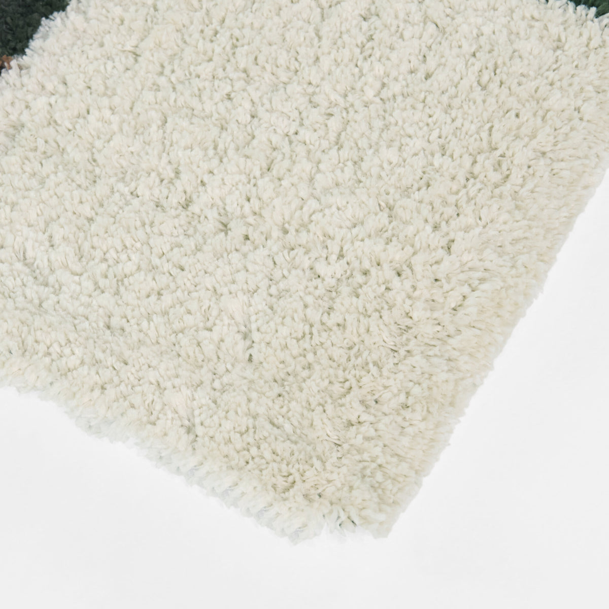 Color Block Shag Area Rug