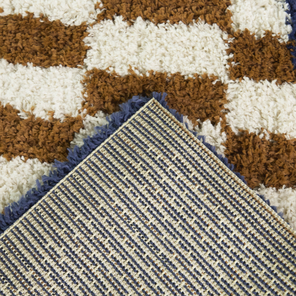 Candelaria Checkered Scallop Border Area Rug