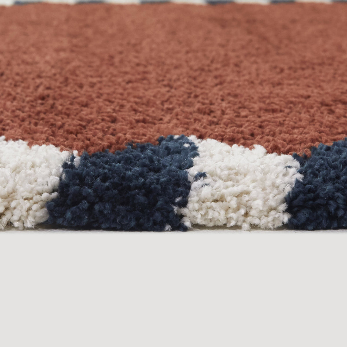 Vasile Border Shag Area Rug